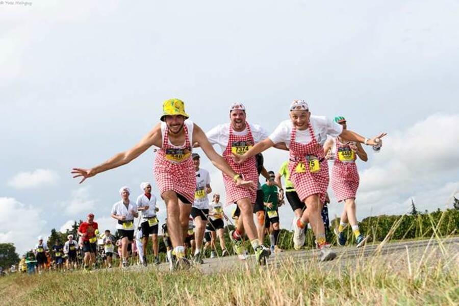  Medoc Marathon, Bordeaux France 2024 Illustration 