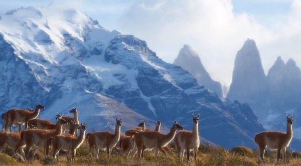 Trekking Highlights of Chile