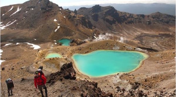 Trekking in New Zealand 