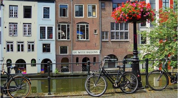 Cycling Tulip Fields & King's Day in Holland