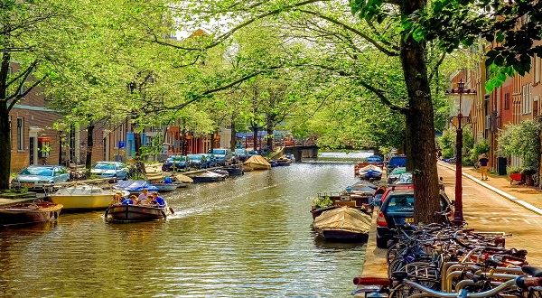 Tulip tour of Holland