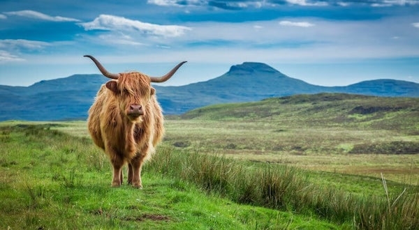The Scottish Highlands Tour - 28 Apr to 3 May 2025